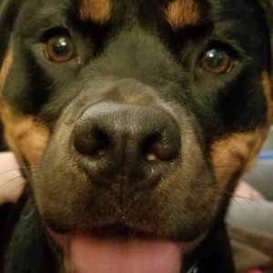 Meet your Posher, Pete